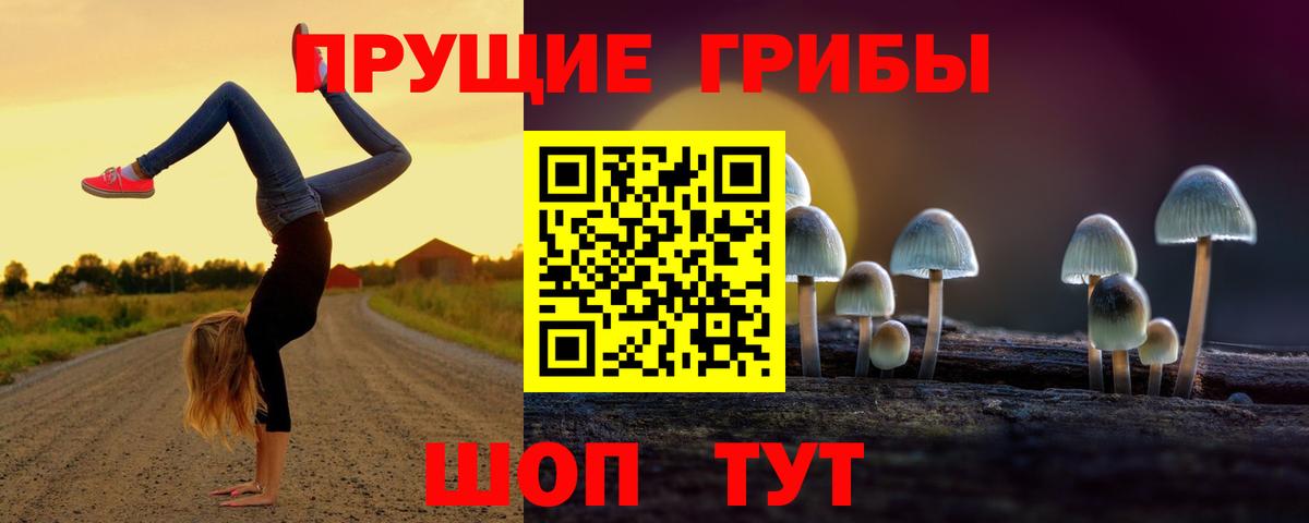 Галлюциногенные грибы Magic Shrooms  Вход с VPN  Узловая 